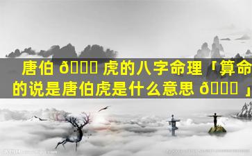 唐伯 🐎 虎的八字命理「算命的说是唐伯虎是什么意思 🐒 」